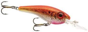 LINDY SHADLING 2-7/8" REDTAIL